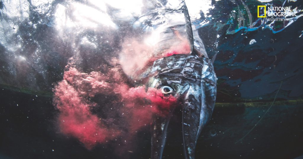 ปากบารา