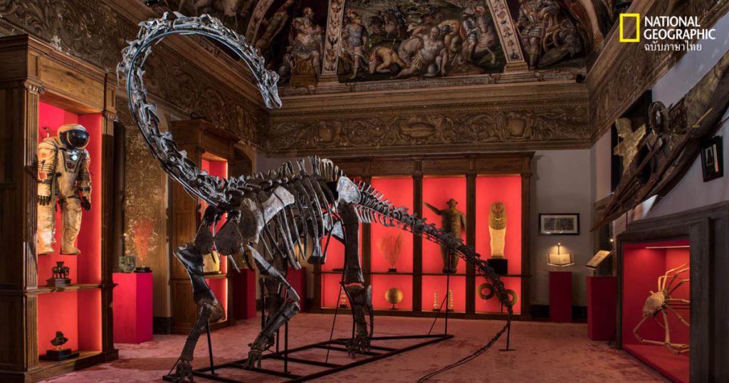 ไดโนเสาร์