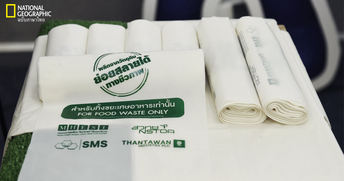 นวัตกรรมถุงพลาสติกย่อยสลาย 100% โดยนักวิจัยไทย