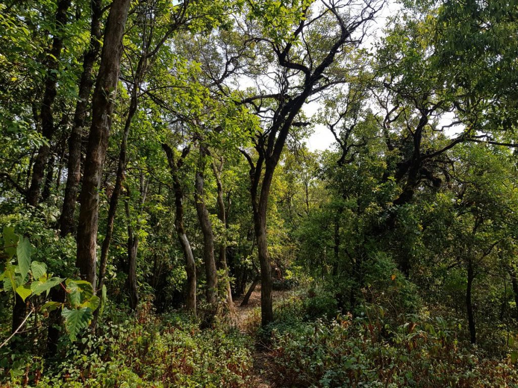 เดินป่า, แม่ฮ่องสอน, ขุนน้ำเงา, Fjallraven Thailand Trail