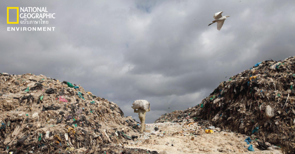 งดแจกถุงพลาสติก