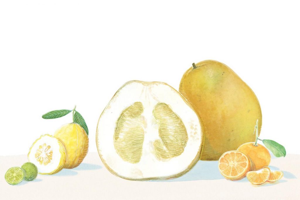 กรดและเบส, สารละลาย, วิธีทดสอบกรดเบส