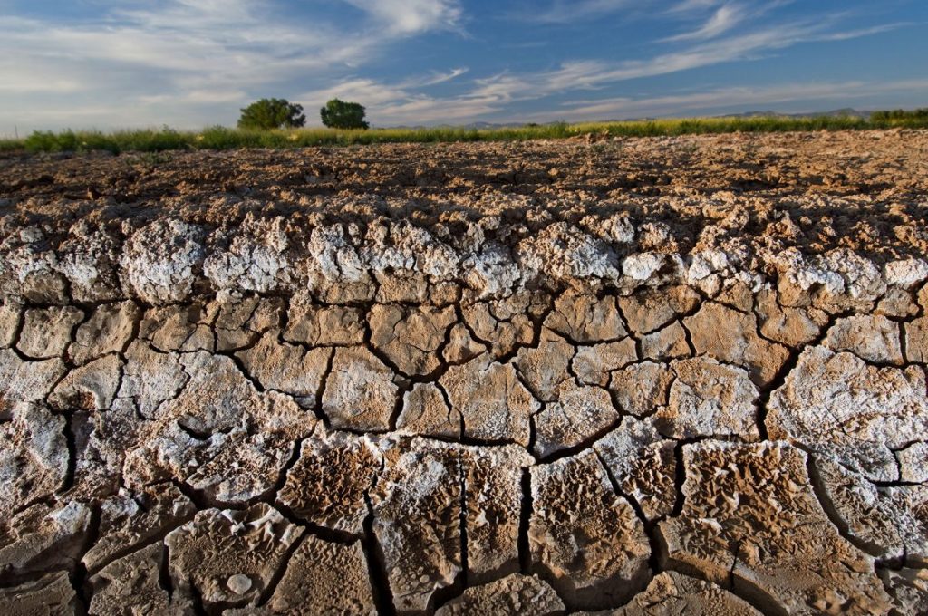 มลพิษในดิน, ทรัพยากรดิน, ดิน