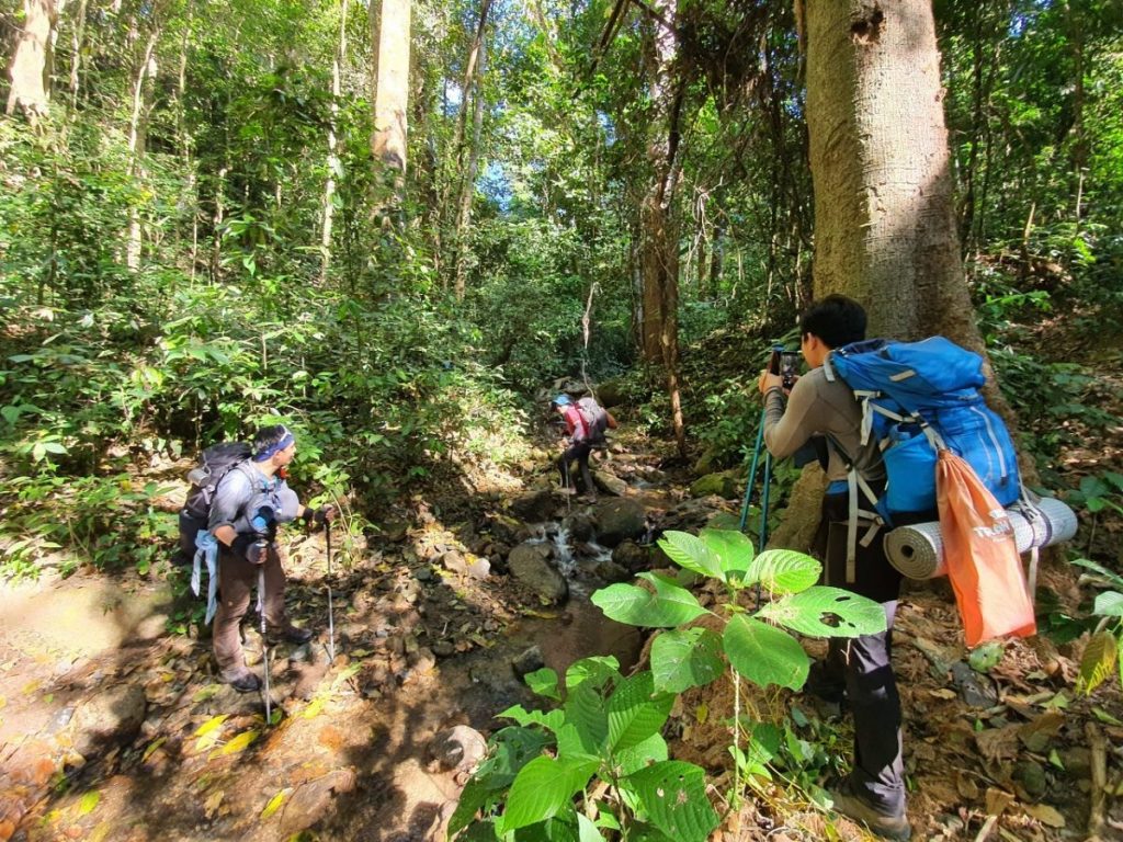 เดินป่า, แม่ฮ่องสอน, ขุนน้ำเงา, Fjallraven Thailand Trail