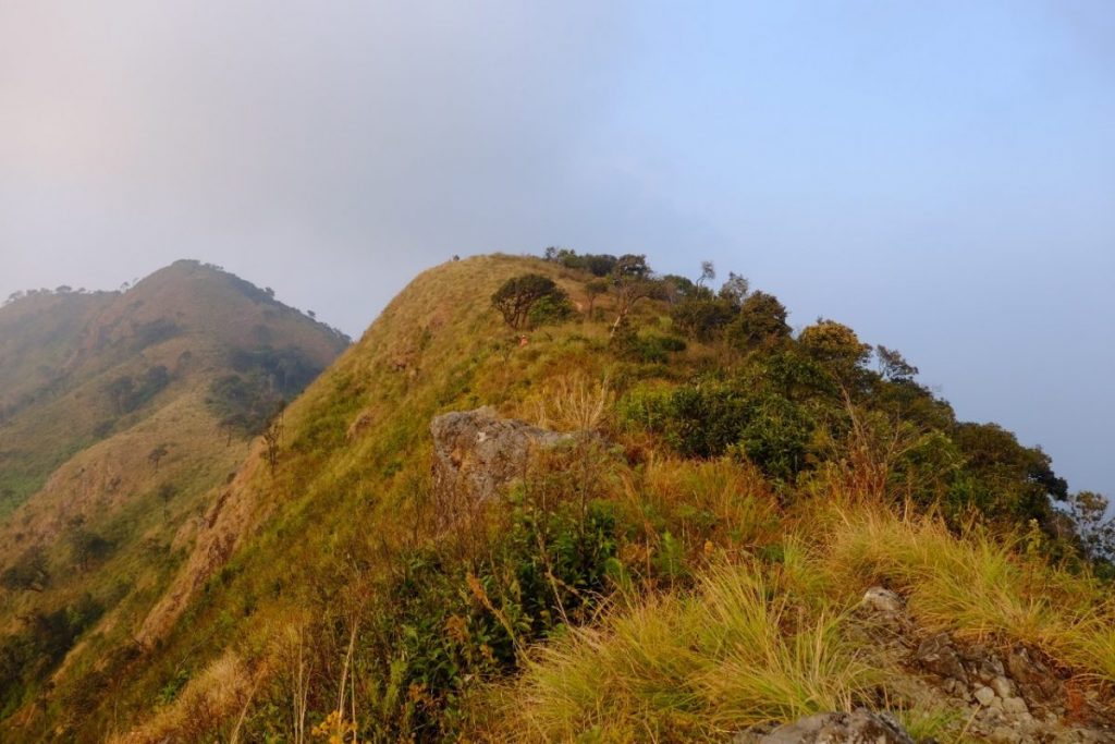 ดอยหลวง, ดอยหนอก, พะเยา, เดินป่า, ปีนเขา