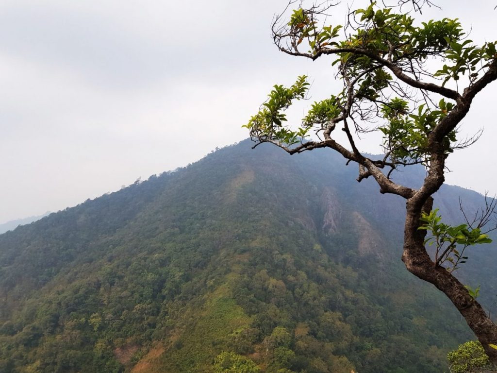 ดอยหลวง, ดอยหนอก, พะเยา, เดินป่า, ปีนเขา