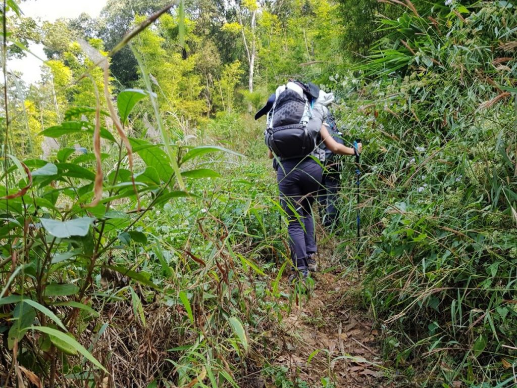 ดอยหลวง, ดอยหนอก, พะเยา, เดินป่า, ปีนเขา