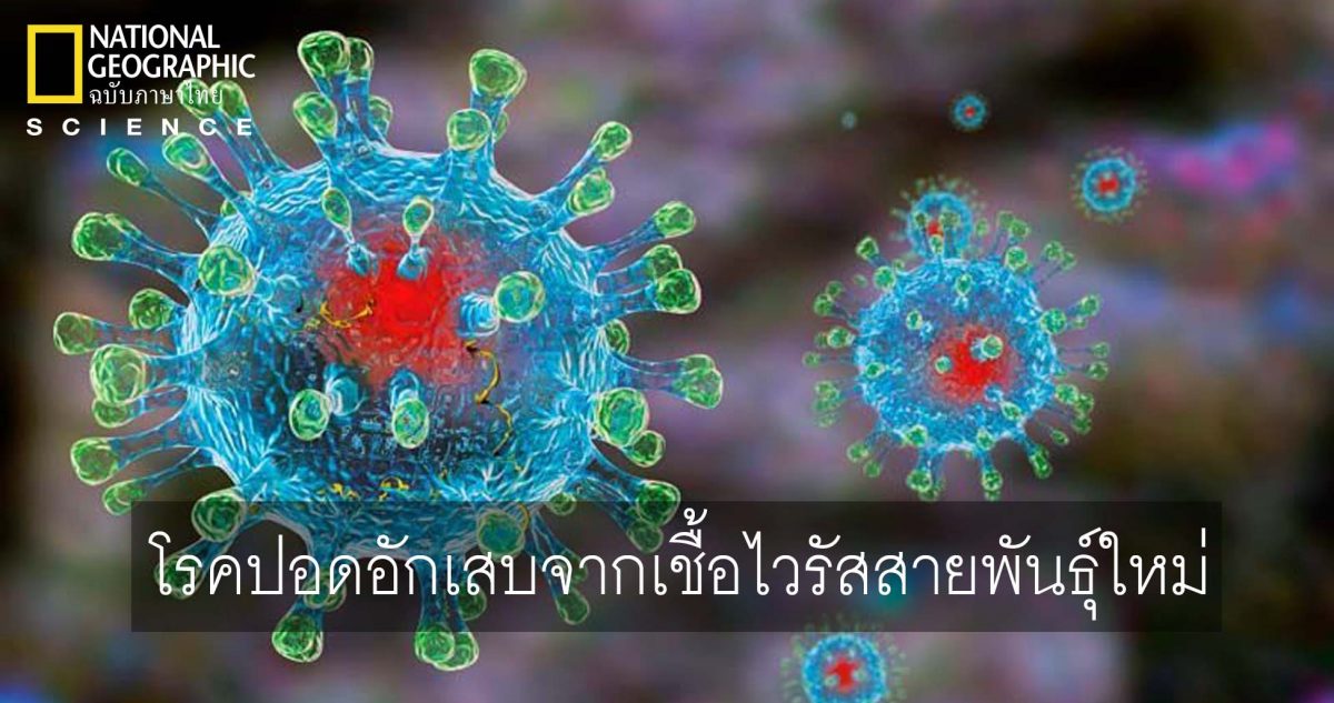 โรคปอดอักเสบ จากเชื้อโคโรนาไวรัส 2019