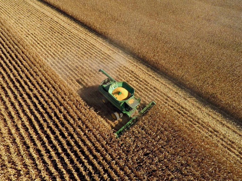 จีเอ็มโอ, สิ่งมีชีวิตดัดแปรพันธุกรรม, GMOs, ยีน