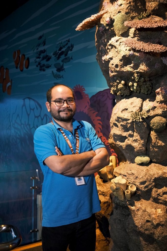 พิพิธภัณฑ์สัตว์น้ำ, อควาเรียม, SEA LIFE,