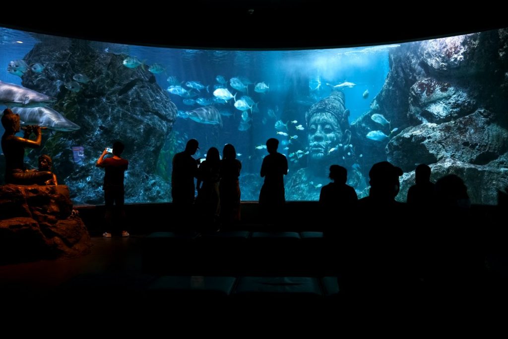 พิพิธภัณฑ์สัตว์น้ำ, อควาเรียม, SEA LIFE,