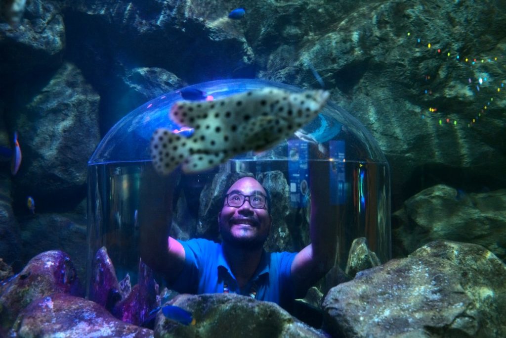 พิพิธภัณฑ์สัตว์น้ำ, อควาเรียม, SEA LIFE,