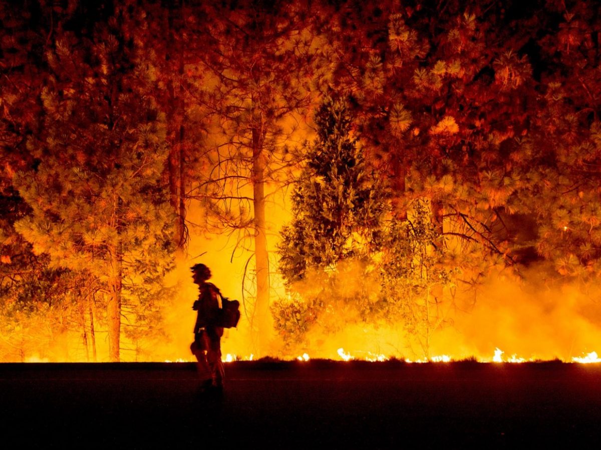การเกิดไฟป่า (Wildfire) และประเภทของไฟป่า