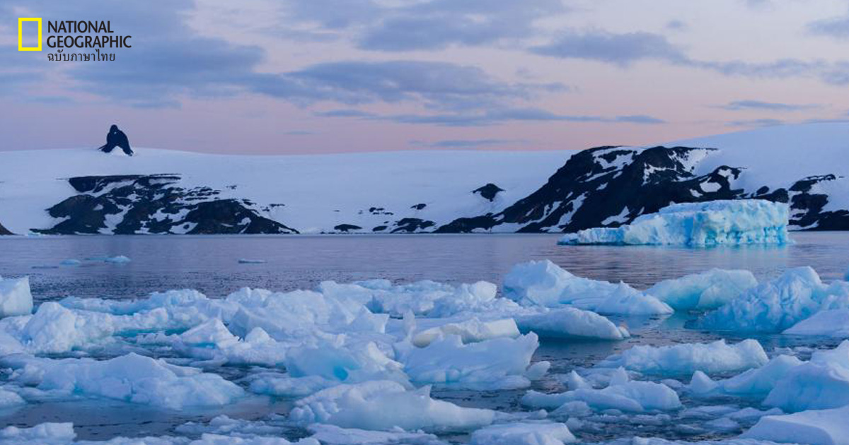 อุณหภูมิของคาบสมุทรแอนตาร์กติกทำลายสถิติ และจะพุ่งสูงขึ้นอย่างรวดเร็วนับจากนี้