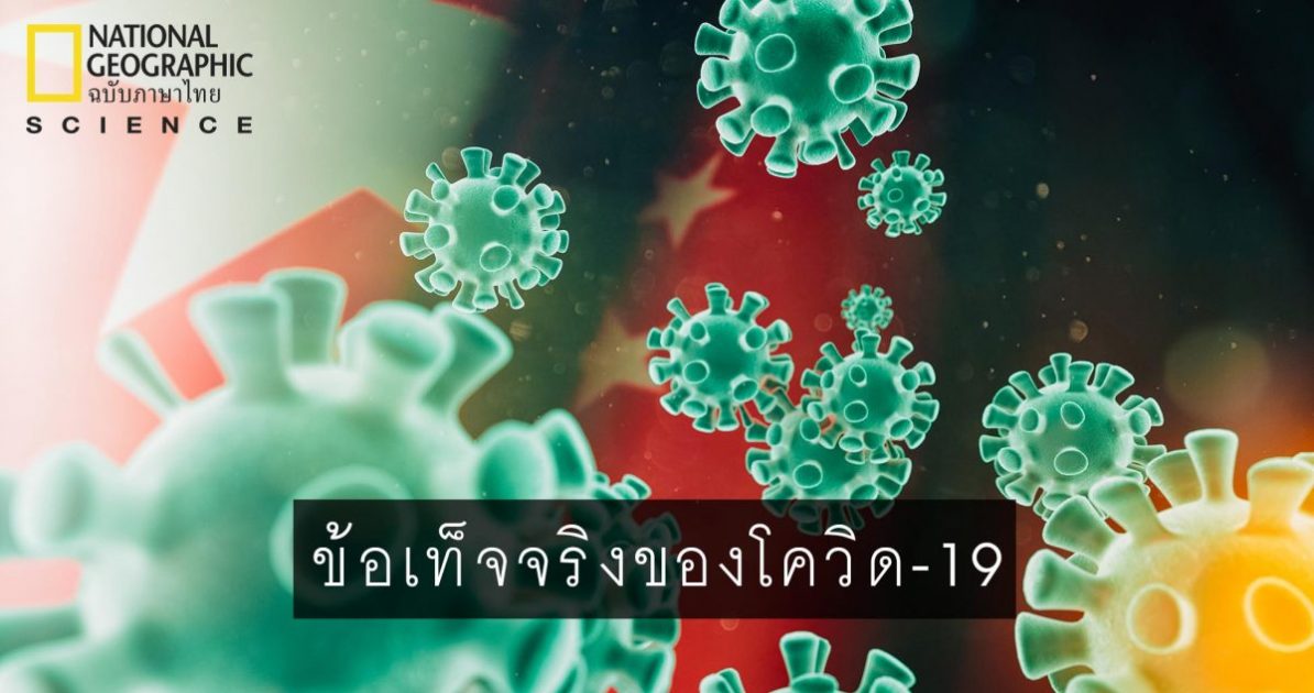 วิเคราะห์เจาะลึก โควิด-19 กับนักไวรัสวิทยาชาวไทย