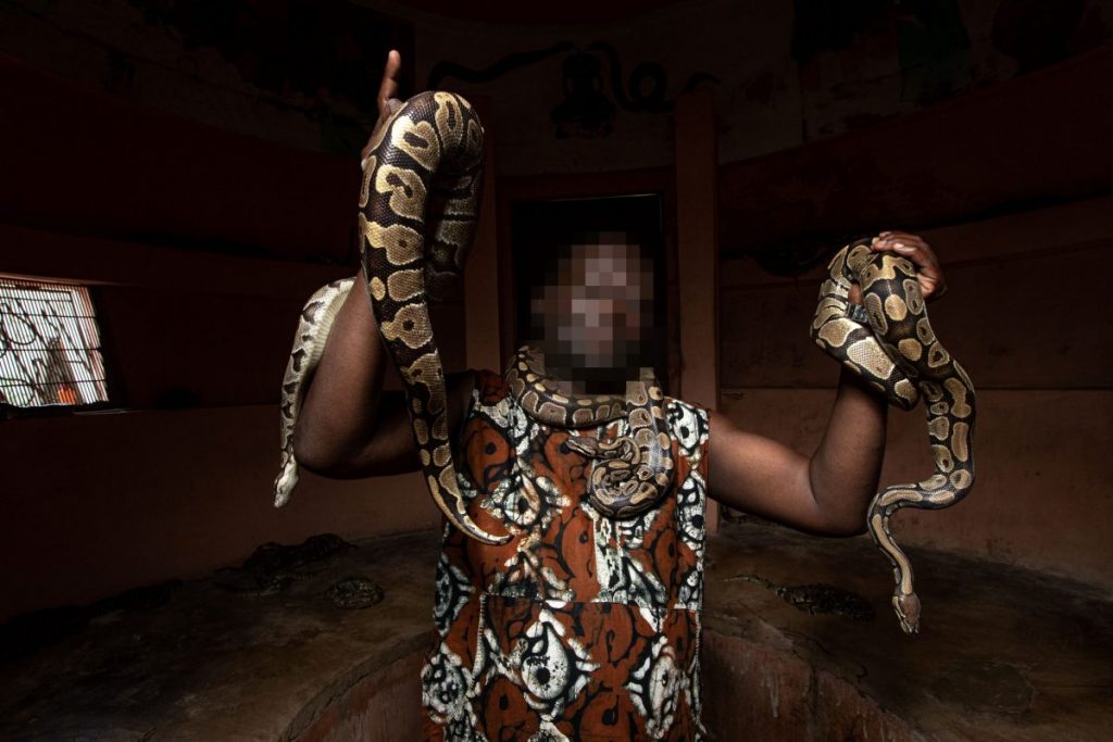 งูหลามบอล, การค้าสัตว์ป่า, การอนุรักษ์, สัตว์เลื้อยคลาน, สัคว์ป่า