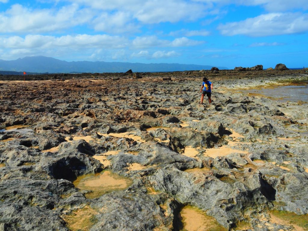 ฮาวาย, เที่ยวฮาวาย, อุคุเลเล่,