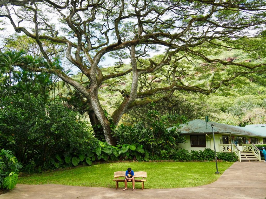 ฮาวาย, เที่ยวฮาวาย, อุคุเลเล่,