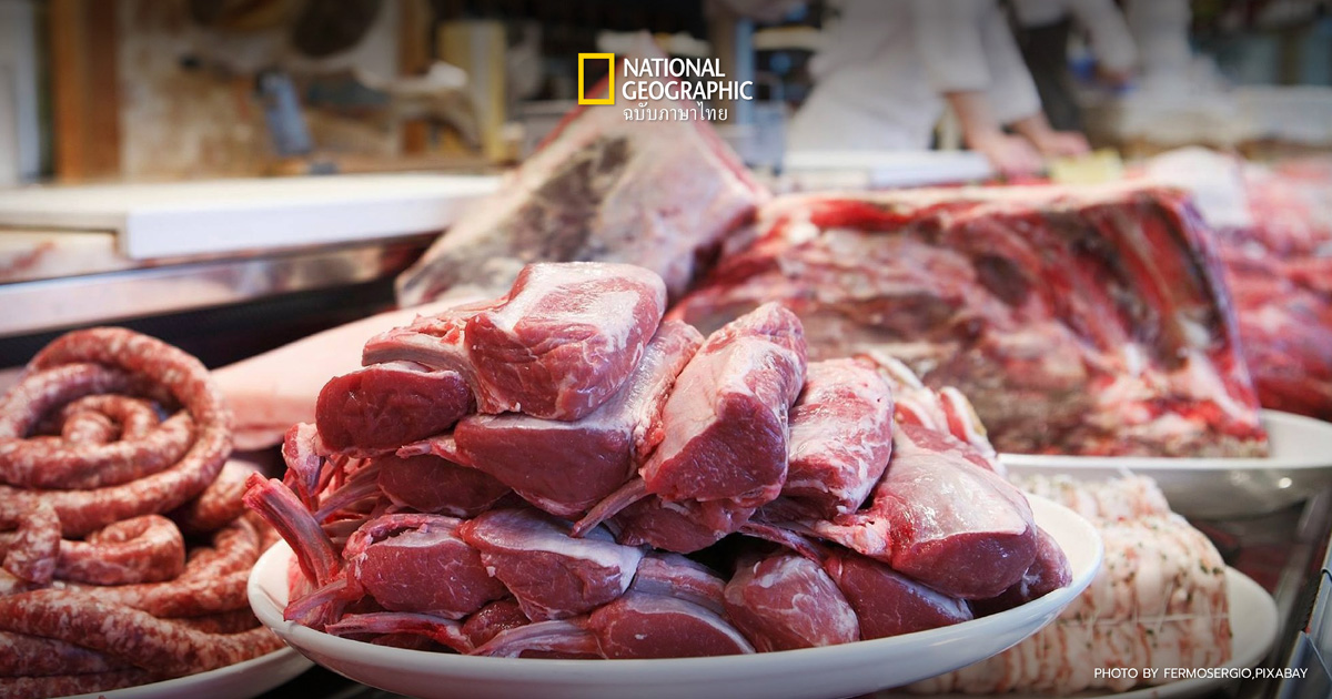 ซาลโมเนลลา เชื้อแบคทีเรียก่อโรคในทางเดินอาหาร