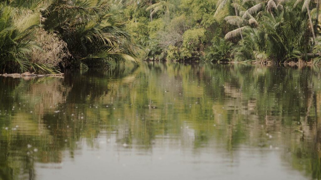 เวียดนาม, ท่องเที่ยว, เที่ยวเวียดนาม, เที่ยวฮอยอัน, ดานัง