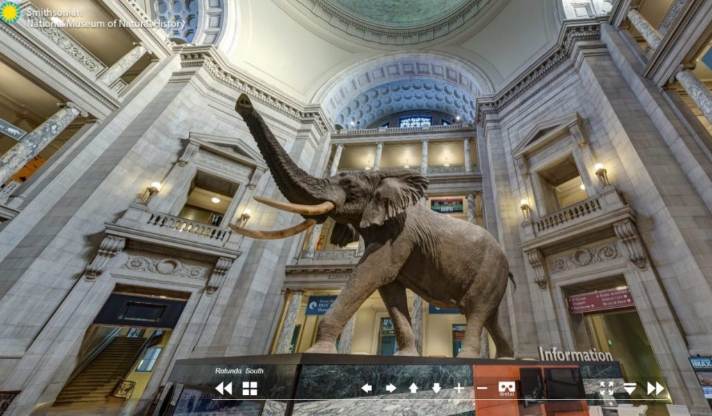 พิพิธภัณฑ์, สมิทโซเนียน, การจัดแสดง, นิทรรศการ