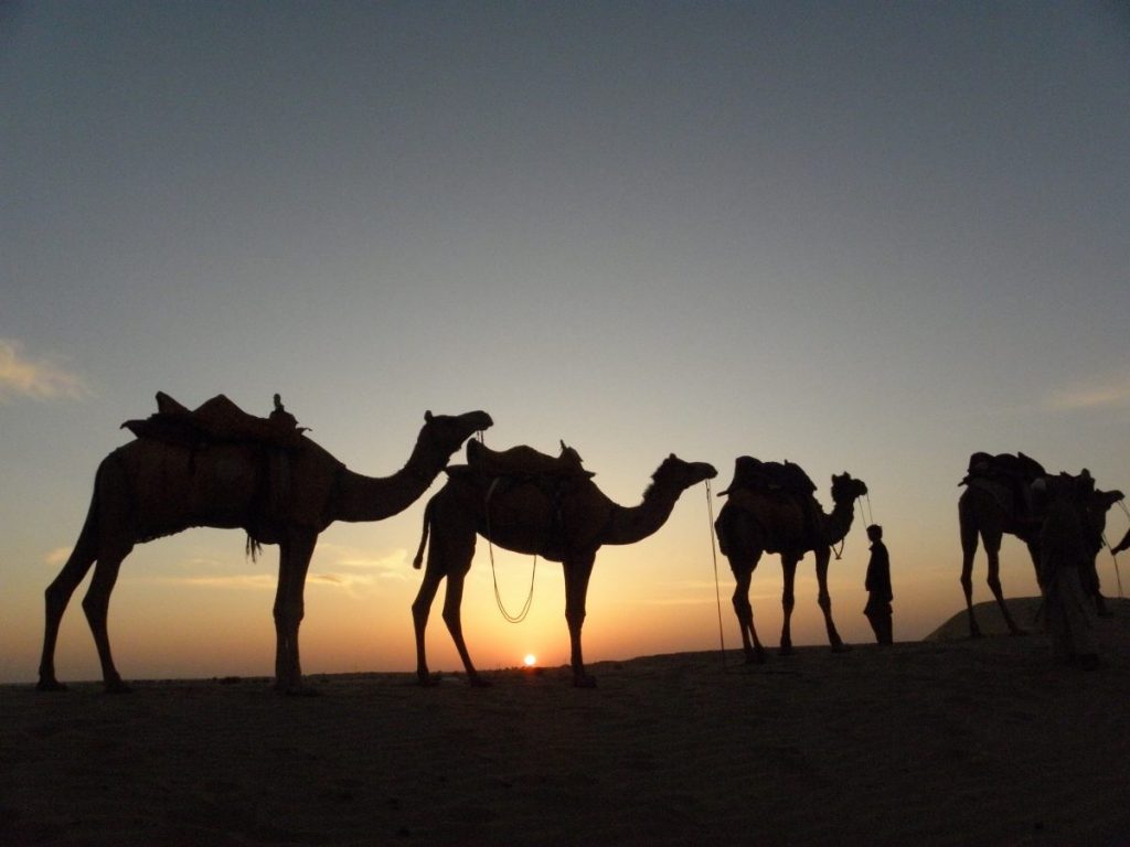 เชน, ศาสนาเชน, ศาสนสถาน, อินเดีย