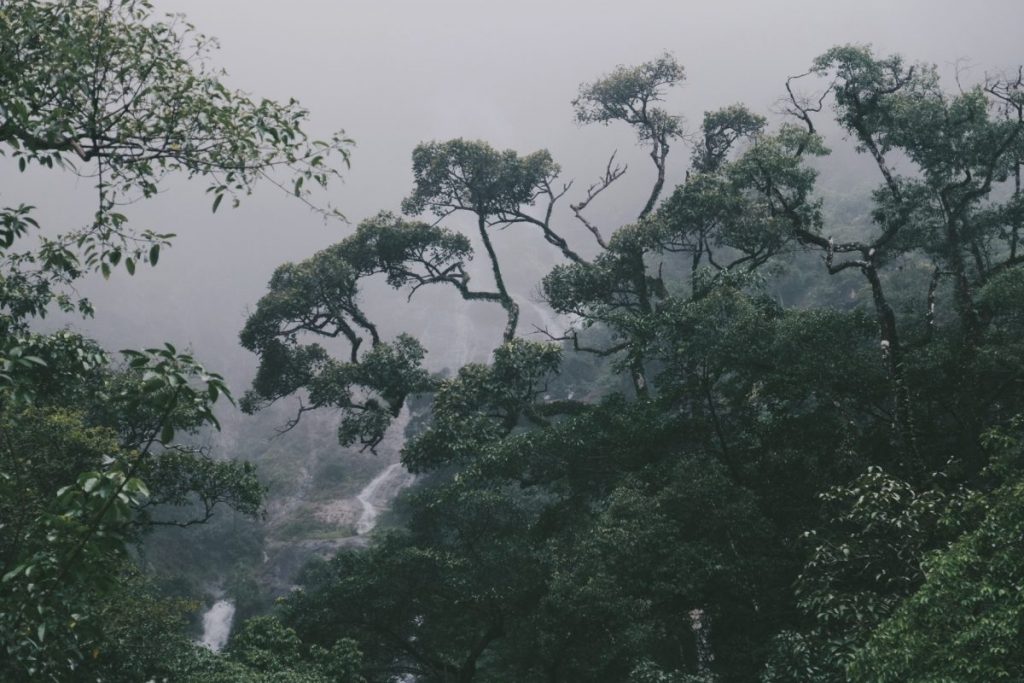 ปิตุ๊โกล, น้ำตก, ท่องเที่ยวธรรมชาติ, กางเต็นท์, น้ำตกปิตุ๊โกล