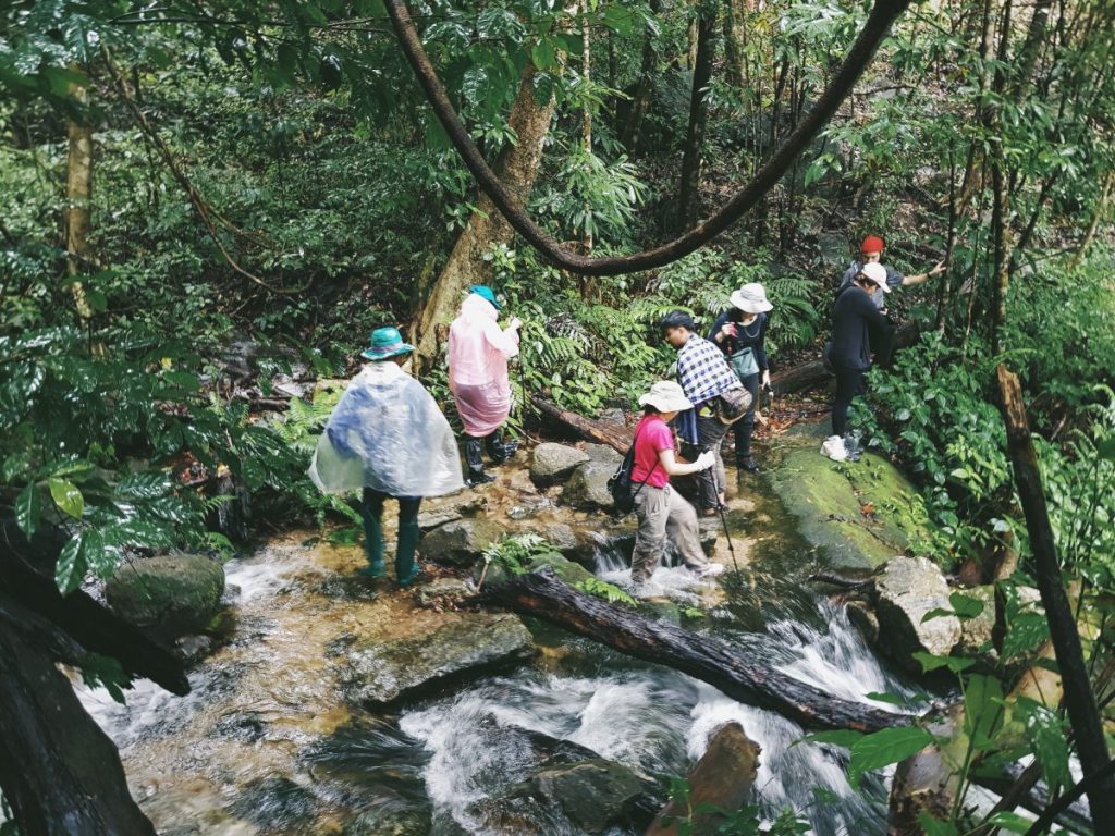 น้ำตก, ท่องเที่ยวธรรมชาติ, กางเต็นท์, น้ำตกปิตุ๊โกล