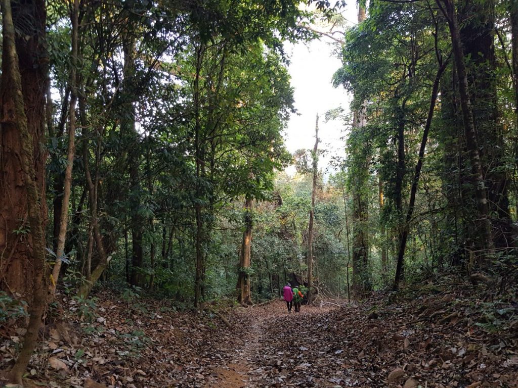 ท่องเที่ยว