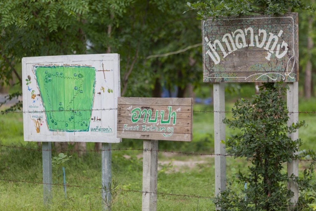 การอาบป่า, อาบป่า, ชินรินโยคุ, กาญจนบุรี, การท่องเที่ยวแห่งประเทศไทย