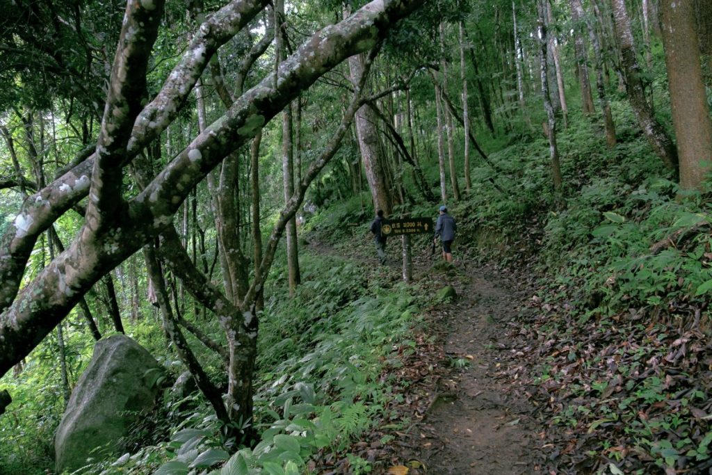 อุทยานแห่งชาติดอยขุนตาล