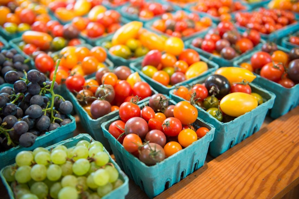 ธาตุอาหารพืช, ธาตุอาหารของพืช, ปุ๋ยเคมี, การเจริญเติบโตของพืช, พืชและผลไม้