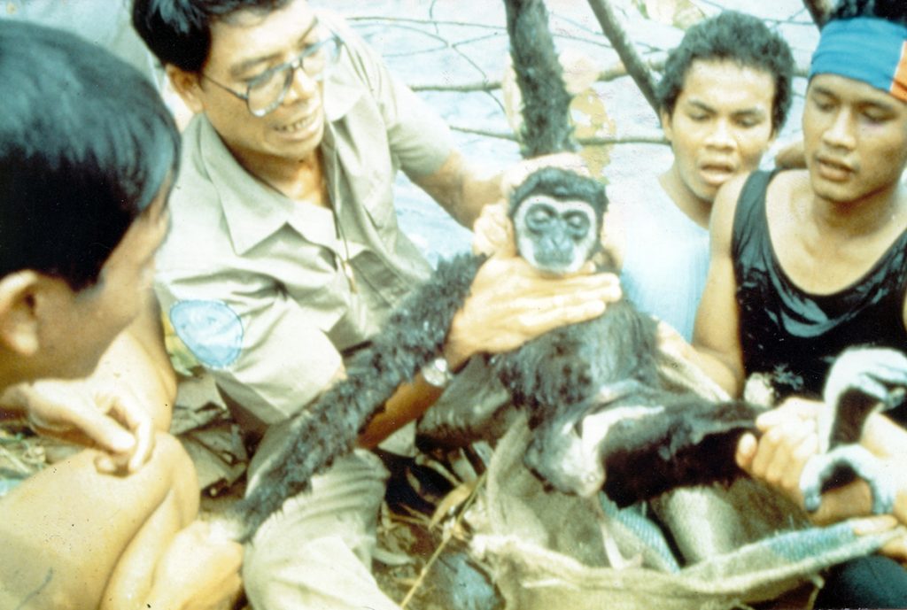สืบ นาคะเสถียร, วันสืบ, งานอนุรักษ์. สารคดีสืบนาคะเสถียร