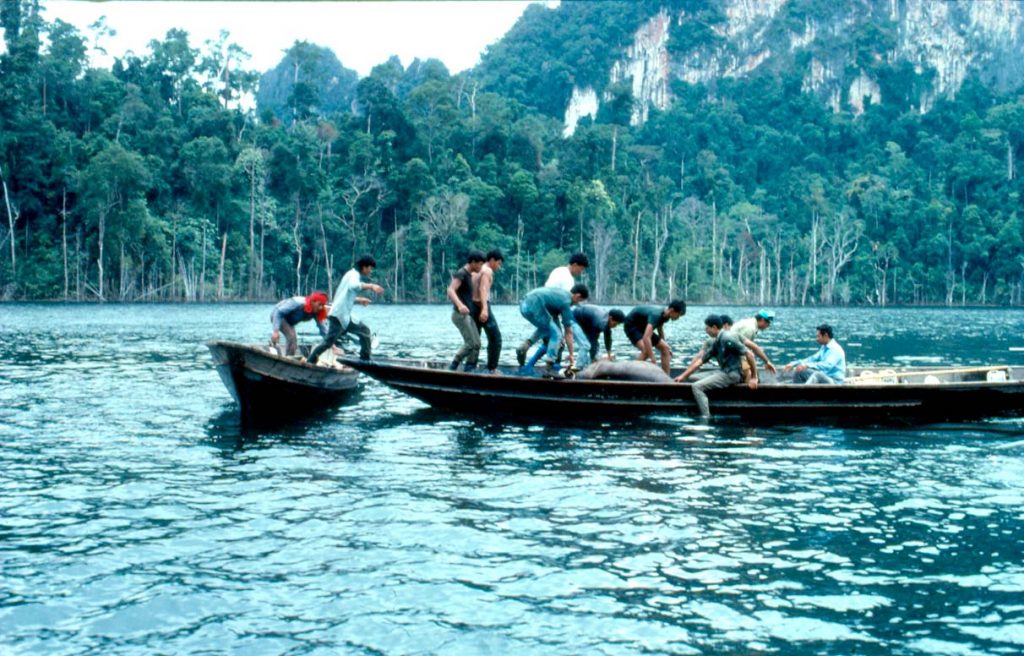 สืบ นาคะเสถียร, วันสืบ, งานอนุรักษ์. สารคดีสืบนาคะเสถียร