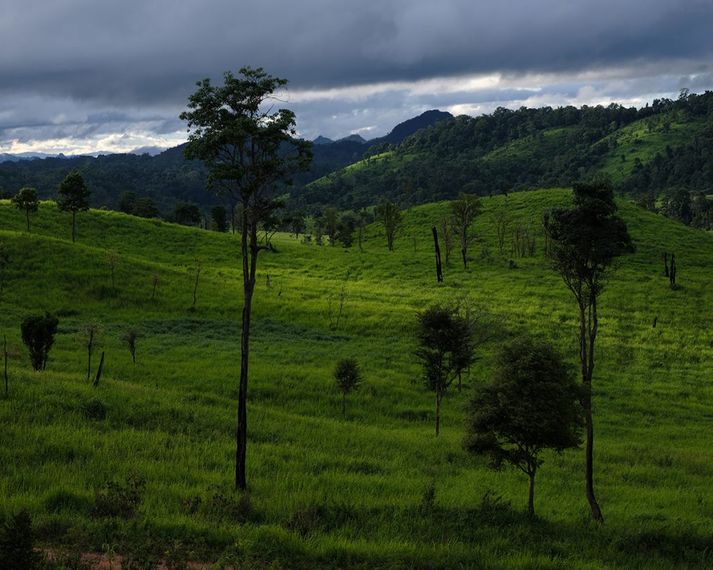 สืบ นาคเสถียร, มูลนิธิสืบนาคเสถียร, ผืนป่าตะวันตก, ห้วยขาแข้ง, ทุ่งใหญ่นเรศวร