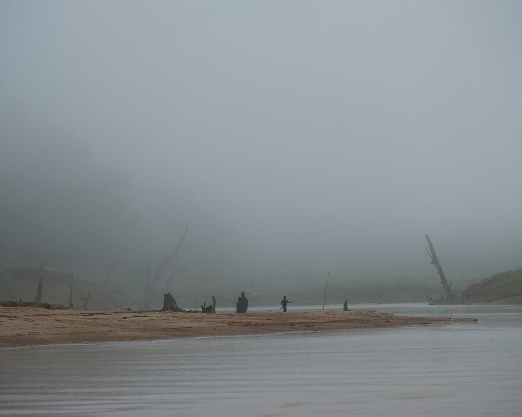 สืบ นาคเสถียร, มูลนิธิสืบนาคเสถียร, ผืนป่าตะวันตก, ห้วยขาแข้ง, ทุ่งใหญ่นเรศวร