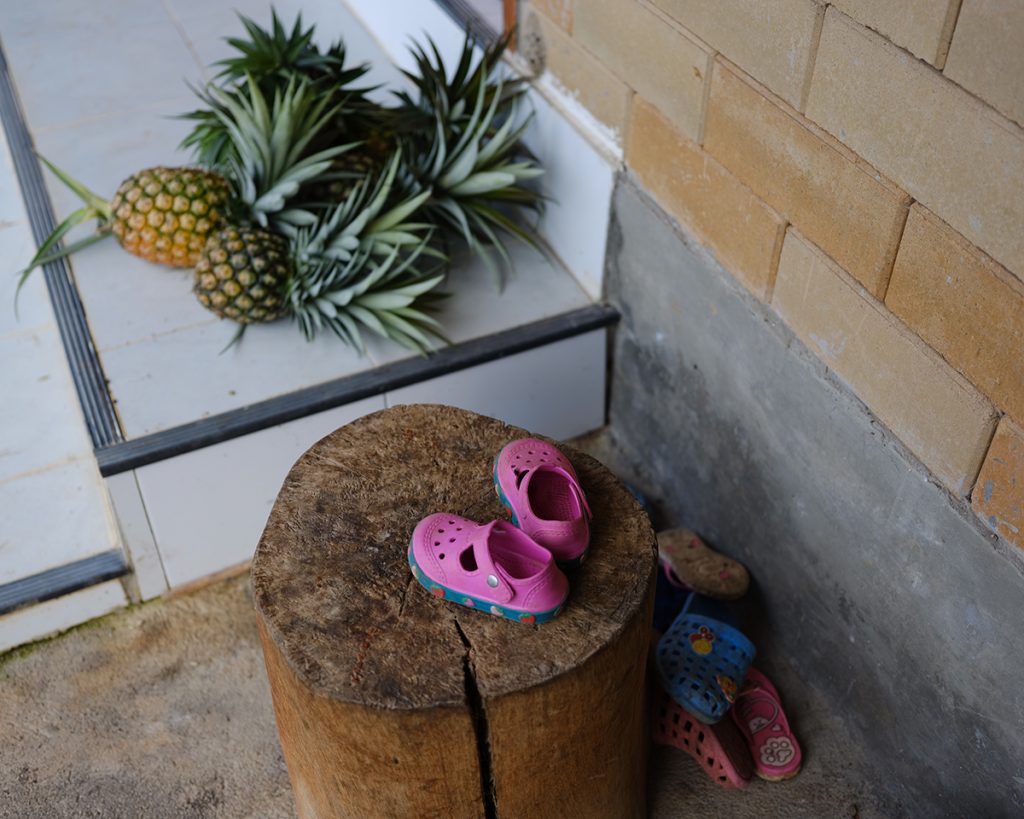 มูลนิธิสืบนาคะเสถียร, สืบนาคะเสถียร, วันสืบ, จอมป่า, มูลนิธิ