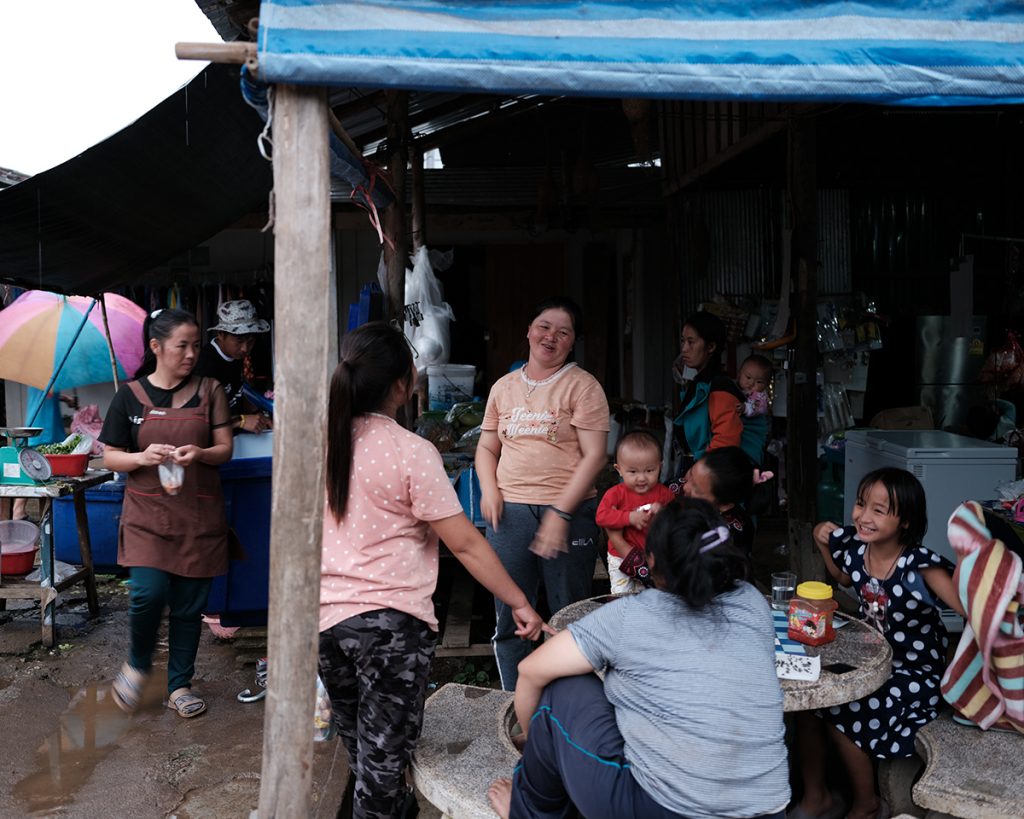 มูลนิธิสืบนาคะเสถียร, สืบนาคะเสถียร, วันสืบ, จอมป่า, มูลนิธิ