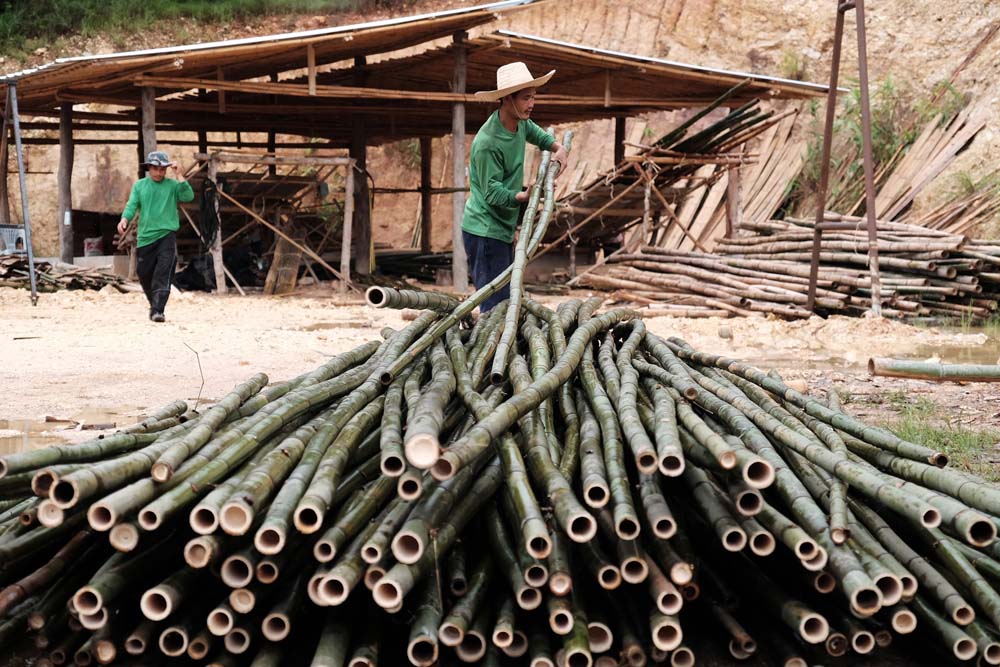 เชียงใหม่, ปางช้าง, เที่ยวชุมชน, ท่องเที่ยวชุมชน