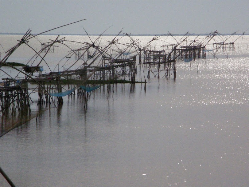 ทะเลน้อย, สางขลา, ทะเลสาบสงขลา, ทุ่งบัวแดงทะเลน้อย, แรสซาร์ไซต์, พื้นที่ชุ่มน้ำ, พื้นที่ชุ่มน้ำของไทย