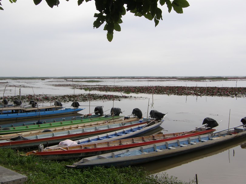 ทะเลน้อย, สางขลา, ทะเลสาบสงขลา, ทุ่งบัวแดงทะเลน้อย, แรสซาร์ไซต์, พื้นที่ชุ่มน้ำ, พื้นที่ชุ่มน้ำของไทย