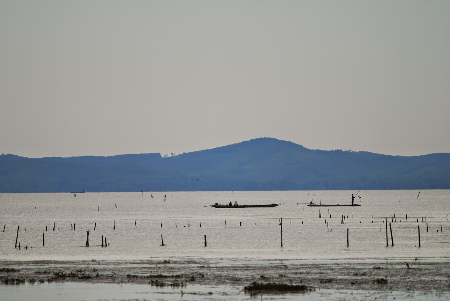 ทะเลน้อย, สางขลา, ทะเลสาบสงขลา, ทุ่งบัวแดงทะเลน้อย, แรสซาร์ไซต์, พื้นที่ชุ่มน้ำ, พื้นที่ชุ่มน้ำของไทย