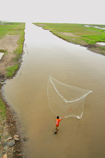 ทะเลน้อย, สางขลา, ทะเลสาบสงขลา, ทุ่งบัวแดงทะเลน้อย, แรสซาร์ไซต์, พื้นที่ชุ่มน้ำ, พื้นที่ชุ่มน้ำของไทย