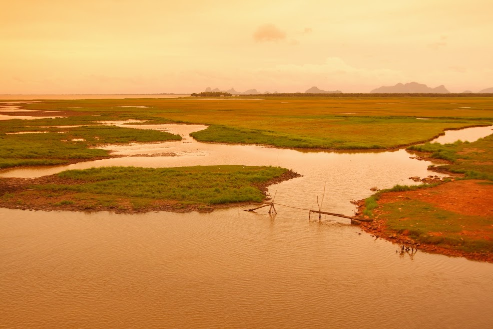 ทะเลน้อย, สางขลา, ทะเลสาบสงขลา, ทุ่งบัวแดงทะเลน้อย, แรสซาร์ไซต์, พื้นที่ชุ่มน้ำ, พื้นที่ชุ่มน้ำของไทย