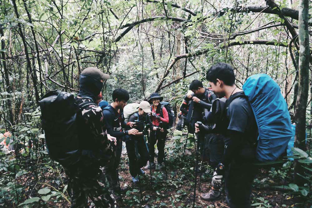 รับมือไฟป่า, ไฟป่า, การเกิดไฟป่า, ไฟป่าภาคเหนือ