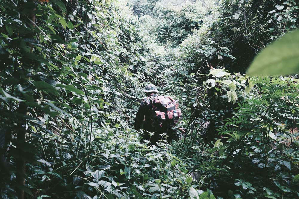 รับมือไฟป่า, ไฟป่า, การเกิดไฟป่า, ไฟป่าภาคเหนือ