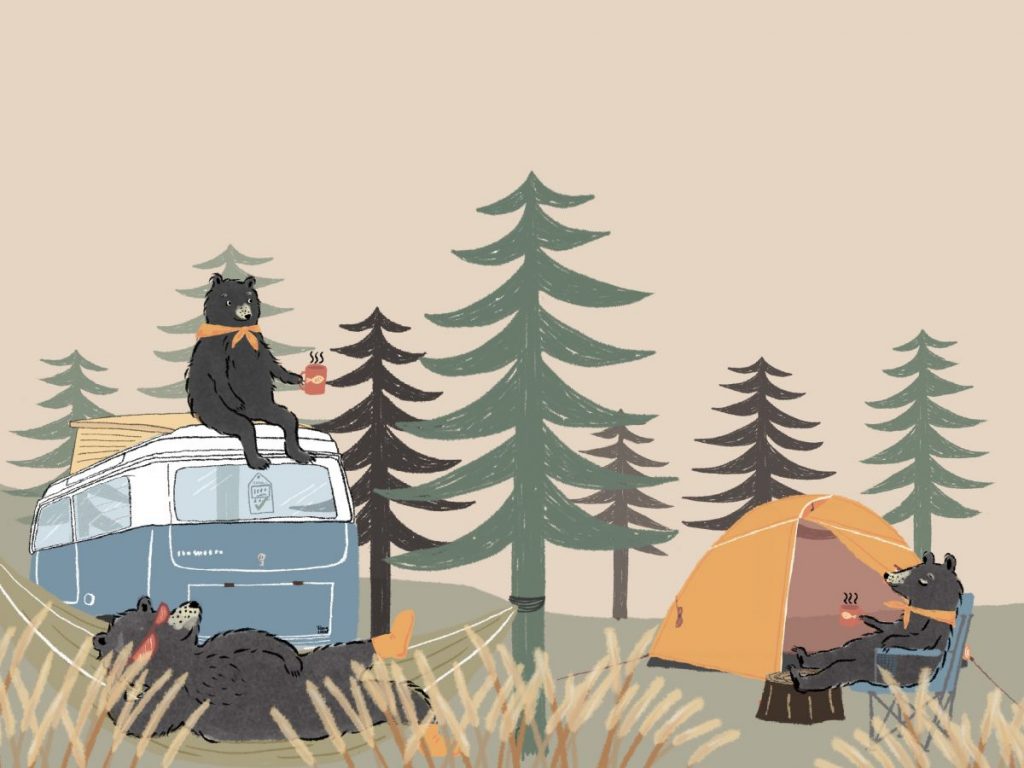 แคมปิ้ง, แคมปิ้งอย่างไร, การท่องเที่ยวอย่างยั่งยืน