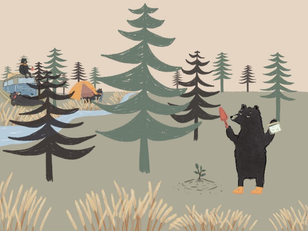 แคมปิ้ง, แคมปิ้งอย่างไร, การท่องเที่ยวอย่างยั่งยืน