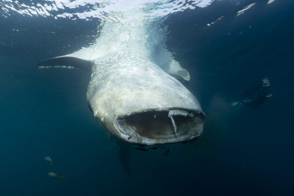 ทะเลไทย