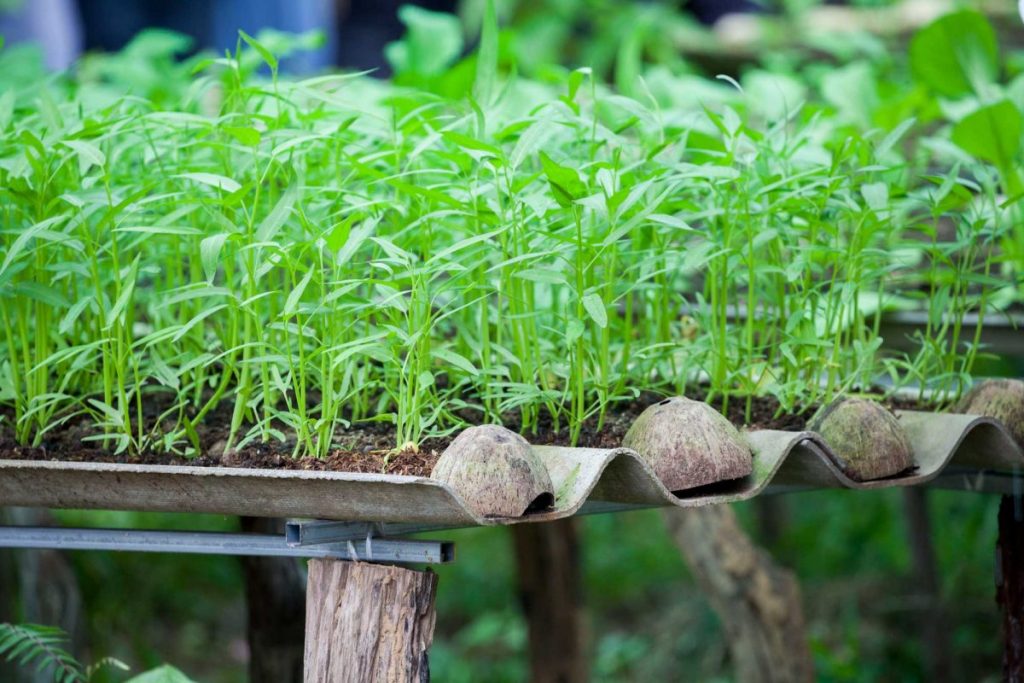 โซล่าเซลล์, พลังงานแสงอาทิตย์, พลังงานหมุนเวียน, พลังงานทดแทน